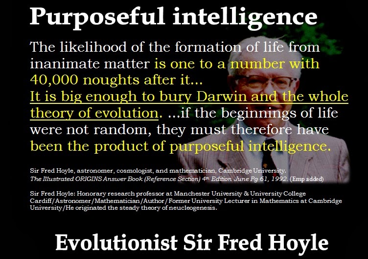 Fred Hoyle